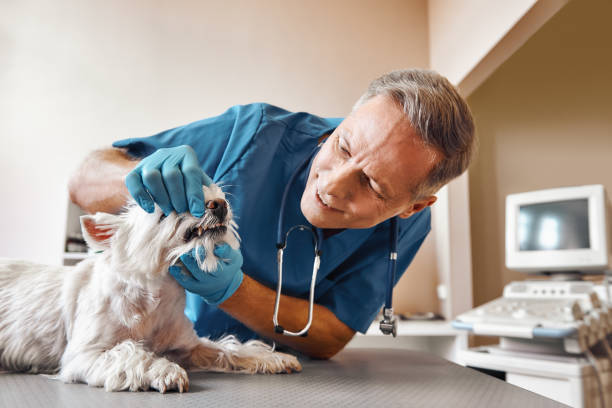 Best Emergency Treatment for Dental Infections or Abscesses in Pine Mountain, GA